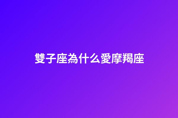 雙子座為什么愛摩羯座-第1張-星座運勢-玄機派