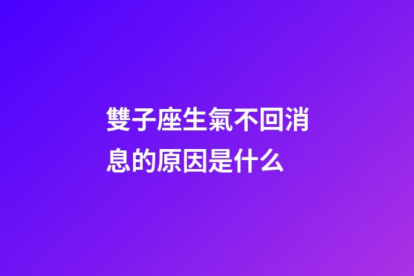 雙子座生氣不回消息的原因是什么-第1張-星座運勢-玄機派