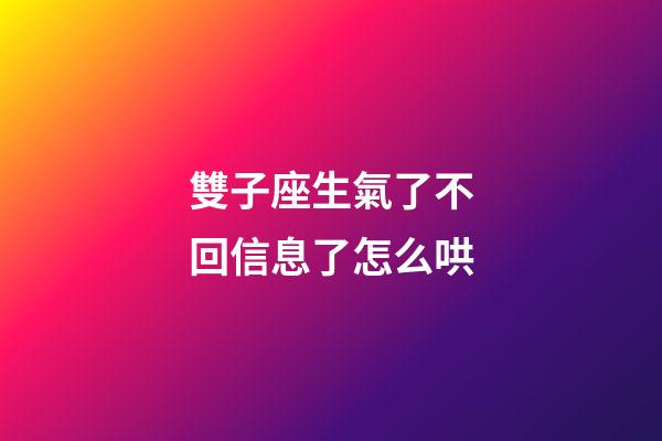 雙子座生氣了不回信息了怎么哄-第1張-星座運勢-玄機派