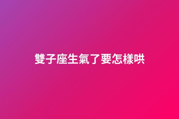 雙子座生氣了要怎樣哄-第1張-星座運勢-玄機派