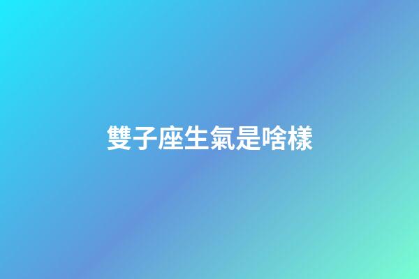 雙子座生氣是啥樣-第1張-星座運勢-玄機派