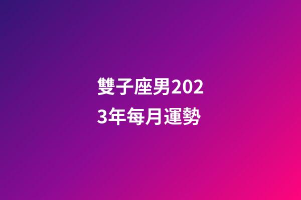雙子座男2023年每月運勢-第1張-星座運勢-玄機派