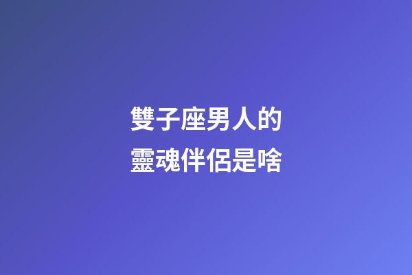 雙子座男人的靈魂伴侶是啥-第1張-星座運(yùn)勢(shì)-玄機(jī)派