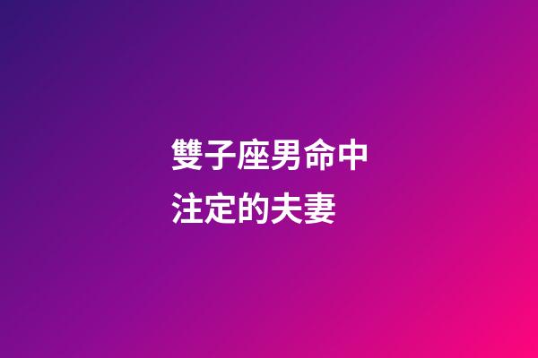 雙子座男命中注定的夫妻-第1張-星座運勢-玄機派