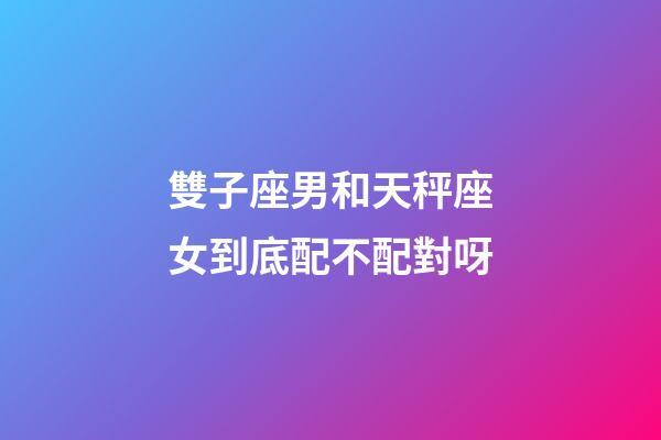 雙子座男和天秤座女到底配不配對呀-第1張-星座運勢-玄機派