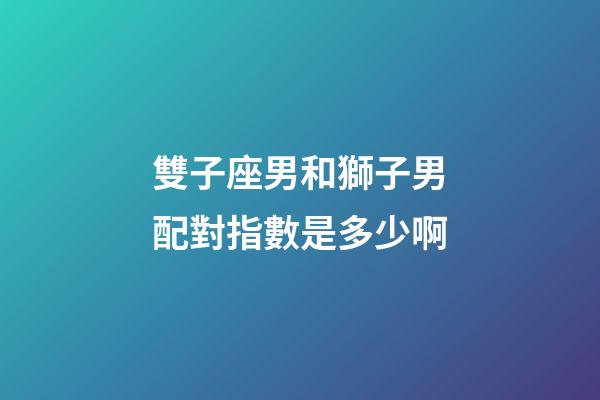 雙子座男和獅子男配對指數是多少啊-第1張-星座運勢-玄機派