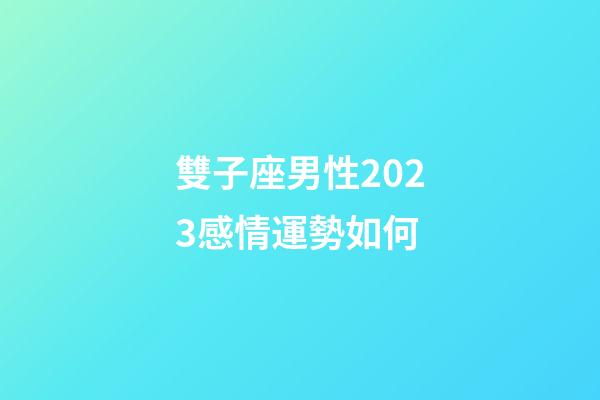 雙子座男性2023感情運勢如何-第1張-星座運勢-玄機派