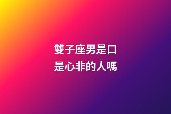 雙子座男是口是心非的人嗎-第1張-星座運勢-玄機派