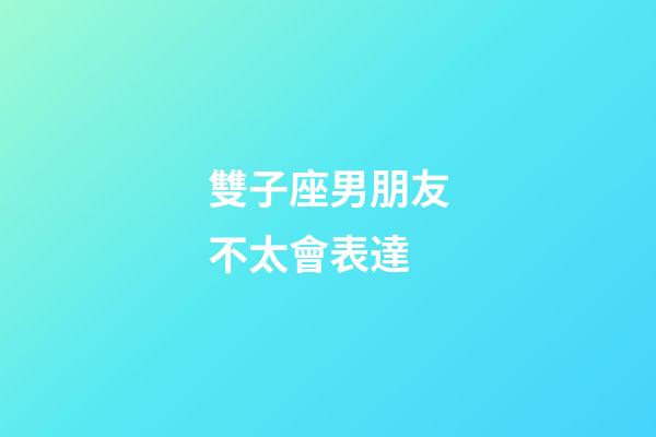 雙子座男朋友不太會表達-第1張-星座運勢-玄機派