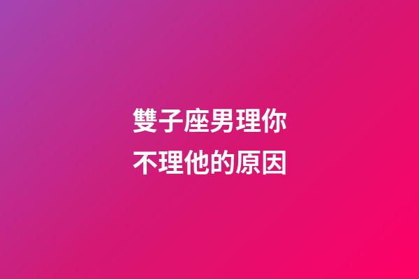 雙子座男理你不理他的原因-第1張-星座運勢-玄機(jī)派
