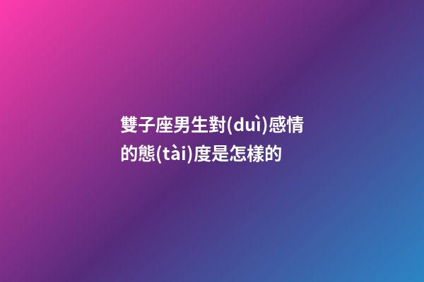 雙子座男生對(duì)感情的態(tài)度是怎樣的-第1張-星座運(yùn)勢(shì)-玄機(jī)派