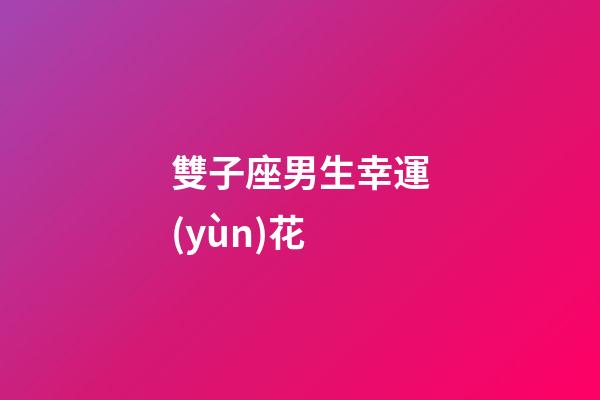 雙子座男生幸運(yùn)花-第1張-星座運(yùn)勢(shì)-玄機(jī)派