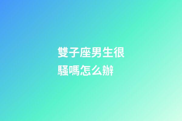 雙子座男生很騷嗎怎么辦-第1張-星座運勢-玄機派