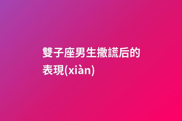 雙子座男生撒謊后的表現(xiàn)-第1張-星座運(yùn)勢-玄機(jī)派