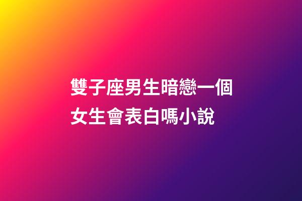 雙子座男生暗戀一個女生會表白嗎小說-第1張-星座運勢-玄機派