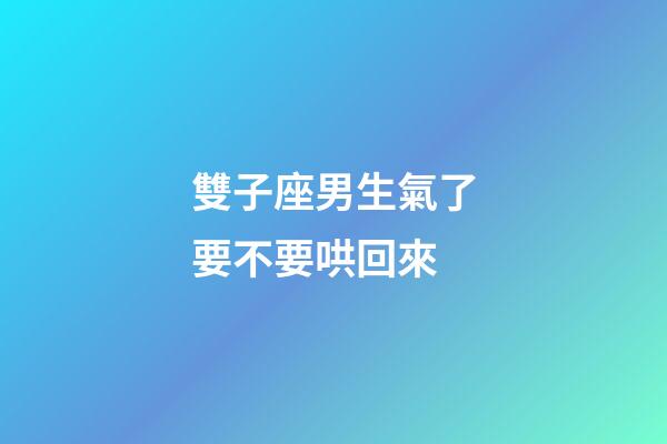 雙子座男生氣了要不要哄回來-第1張-星座運勢-玄機派