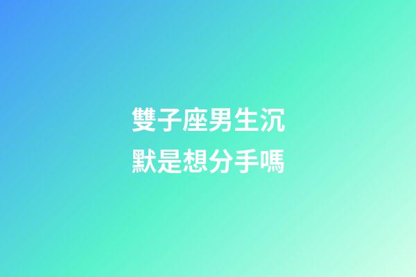 雙子座男生沉默是想分手嗎-第1張-星座運勢-玄機派