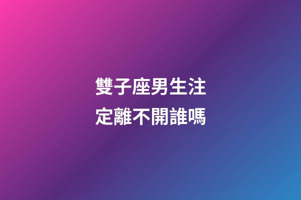 雙子座男生注定離不開誰嗎-第1張-星座運勢-玄機派