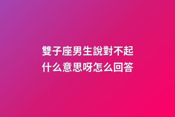 雙子座男生說對不起什么意思呀怎么回答-第1張-星座運勢-玄機派
