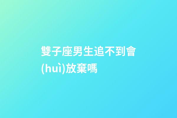 雙子座男生追不到會(huì)放棄嗎-第1張-星座運(yùn)勢(shì)-玄機(jī)派