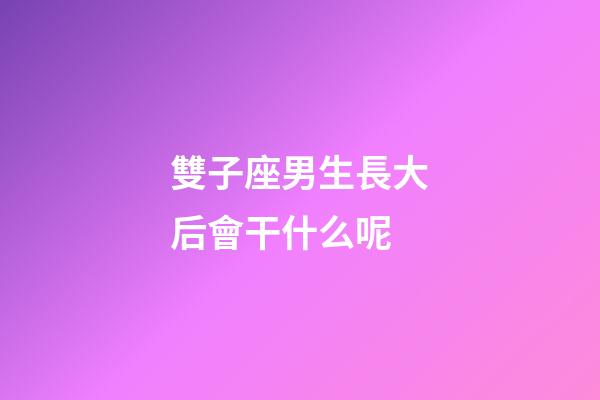 雙子座男生長大后會干什么呢-第1張-星座運勢-玄機派