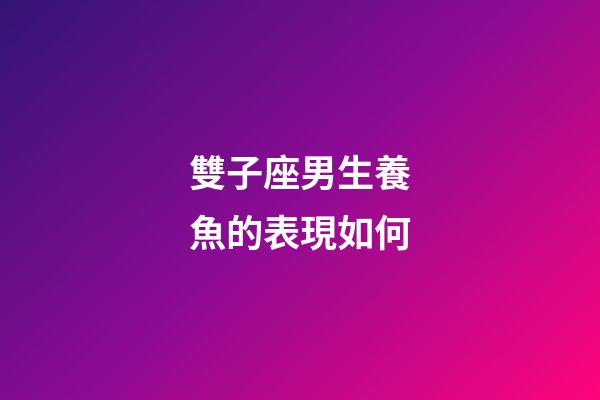 雙子座男生養魚的表現如何