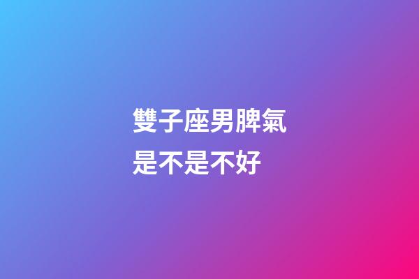 雙子座男脾氣是不是不好-第1張-星座運勢-玄機派