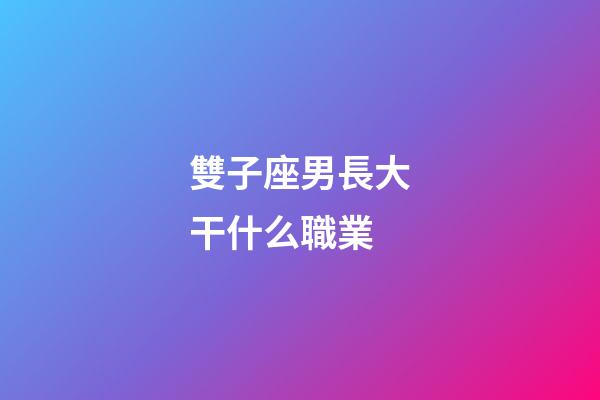 雙子座男長大干什么職業-第1張-星座運勢-玄機派