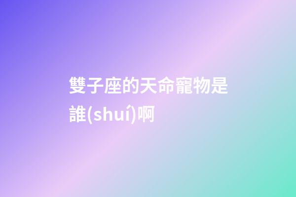 雙子座的天命寵物是誰(shuí)啊-第1張-星座運(yùn)勢(shì)-玄機(jī)派