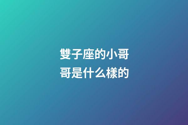雙子座的小哥哥是什么樣的-第1張-星座運(yùn)勢(shì)-玄機(jī)派