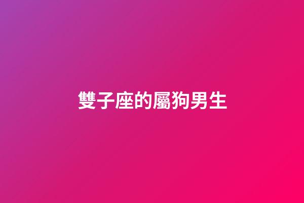 雙子座的屬狗男生-第1張-星座運勢-玄機派