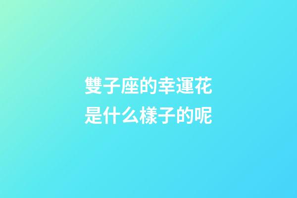 雙子座的幸運花是什么樣子的呢-第1張-星座運勢-玄機派