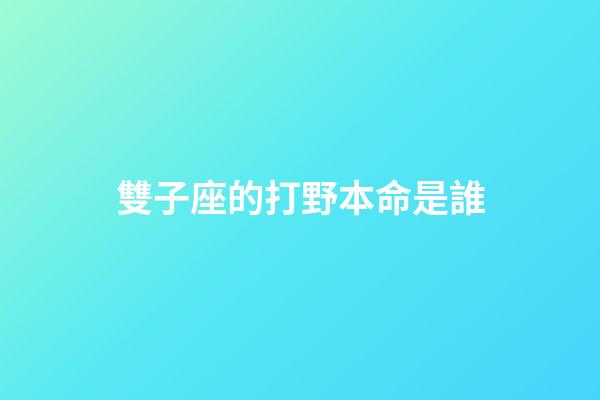 雙子座的打野本命是誰