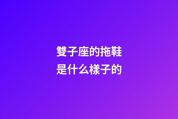 雙子座的拖鞋是什么樣子的