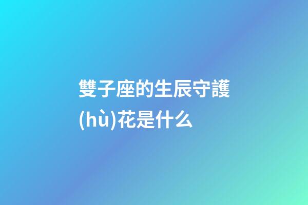 雙子座的生辰守護(hù)花是什么-第1張-星座運(yùn)勢(shì)-玄機(jī)派