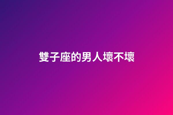 雙子座的男人壞不壞-第1張-星座運(yùn)勢-玄機(jī)派