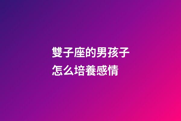 雙子座的男孩子怎么培養感情-第1張-星座運勢-玄機派