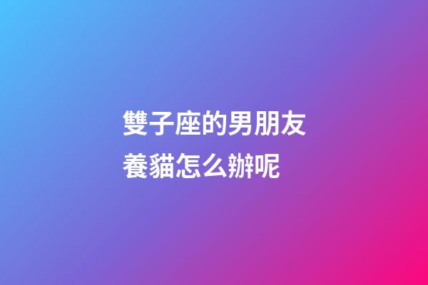 雙子座的男朋友養貓怎么辦呢-第1張-星座運勢-玄機派