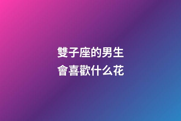 雙子座的男生會喜歡什么花-第1張-星座運勢-玄機派