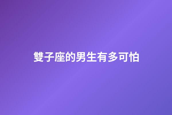 雙子座的男生有多可怕-第1張-星座運勢-玄機派