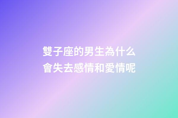 雙子座的男生為什么會失去感情和愛情呢-第1張-星座運勢-玄機派