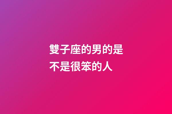 雙子座的男的是不是很笨的人-第1張-星座運勢-玄機派