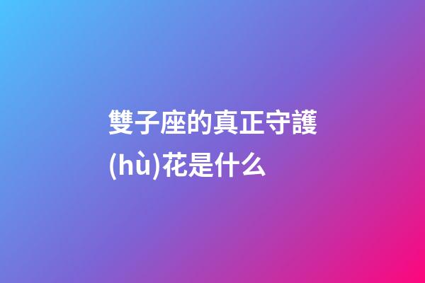 雙子座的真正守護(hù)花是什么