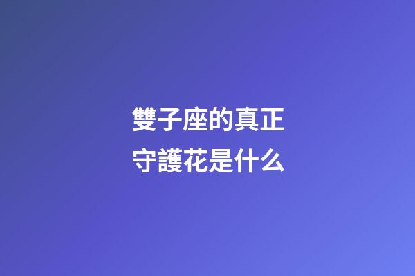 雙子座的真正守護花是什么