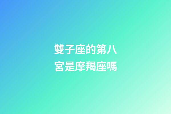 雙子座的第八宮是摩羯座嗎-第1張-星座運勢-玄機派