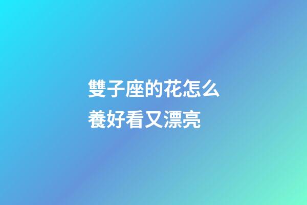 雙子座的花怎么養好看又漂亮-第1張-星座運勢-玄機派