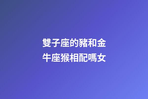 雙子座的豬和金牛座猴相配嗎女-第1張-星座運(yùn)勢(shì)-玄機(jī)派