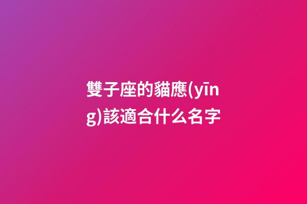 雙子座的貓應(yīng)該適合什么名字-第1張-星座運(yùn)勢(shì)-玄機(jī)派