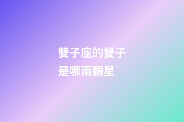 雙子座的雙子是哪兩顆星-第1張-星座運勢-玄機派