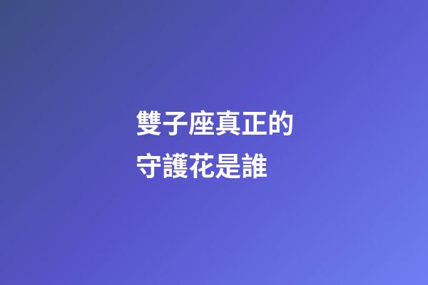 雙子座真正的守護花是誰-第1張-星座運勢-玄機派